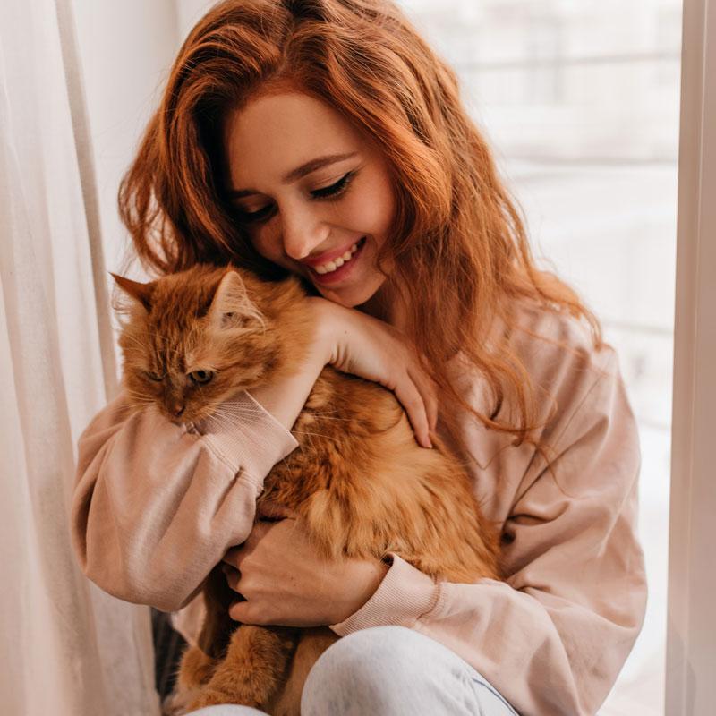 Haustiere Katzen beste Instagram Nischen 2023 Geld verdienen mit Instagram