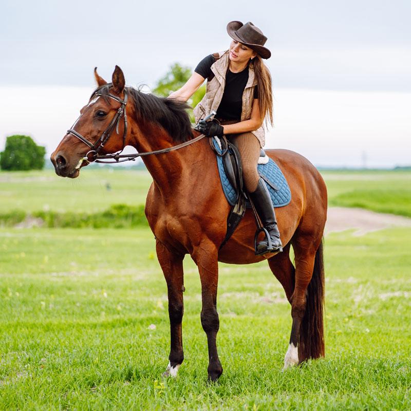 Haustiere Pferde Reiten beste Instagram Nischen 2023 Geld verdienen mit Instagram